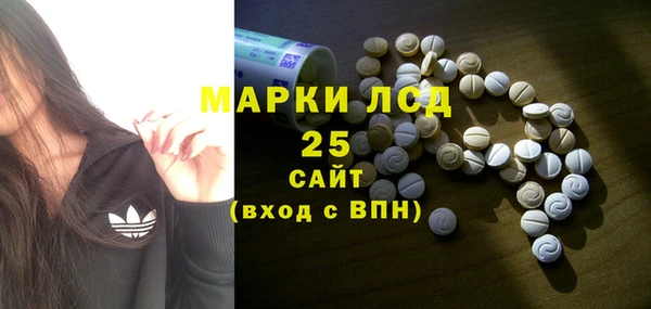 крисы Абаза