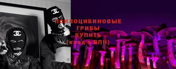 хмурый Алексеевка