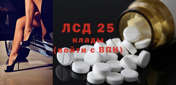 крисы Абаза