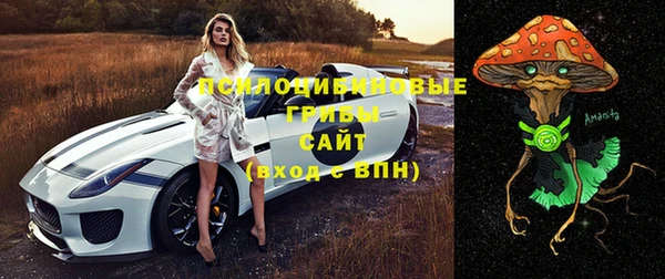 хмурый Алексеевка