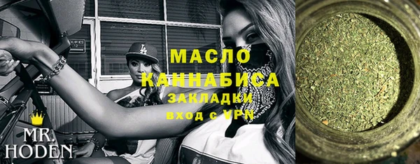 крисы Абаза