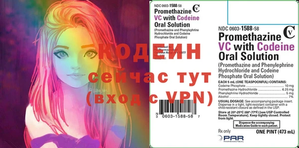крисы Абаза