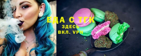 крисы Абаза