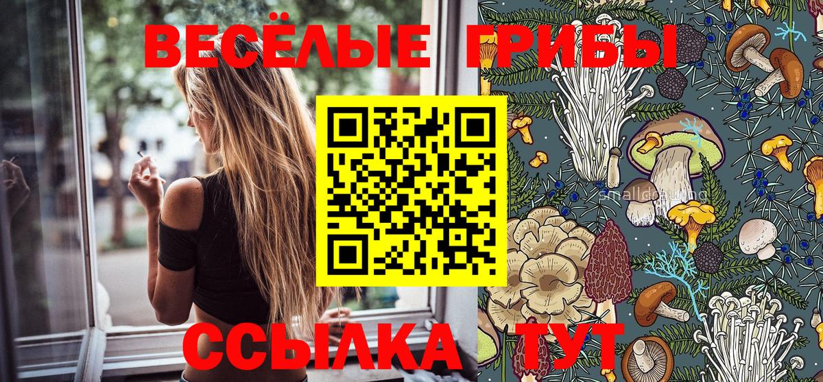 что такое наркотик  Галлюциногенные грибы Magic Shrooms  Вход с VPN  Энгельс 