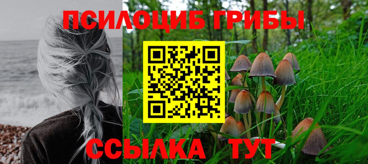 Псилоцибиновые грибы мухоморы Энгельс